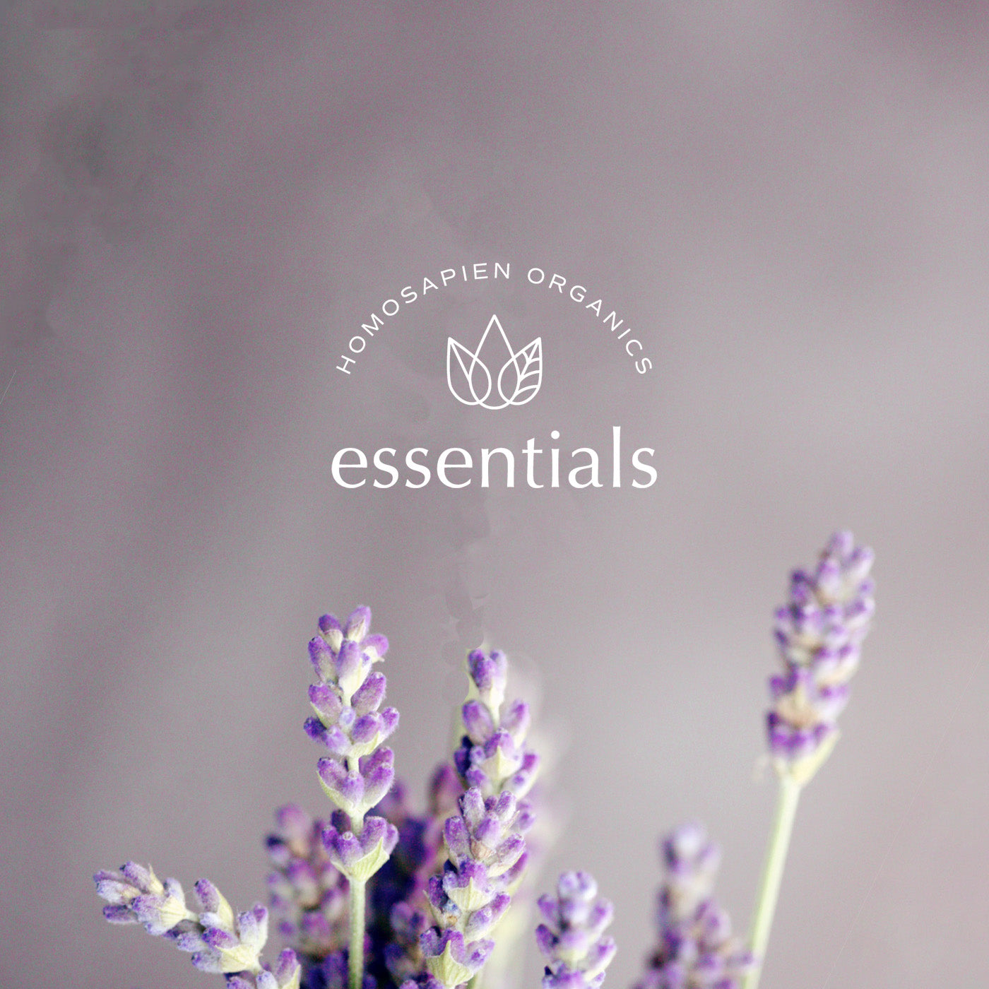 4 Ounce Pure Lavender Essential Oil